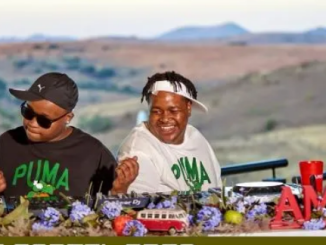 Yumbs & Zwayetoven – Groove Cartel Amapiano Mix