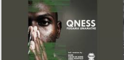 Qness - Fugama Unamathe