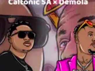 Caltonic SA & Demola – Tail Piece