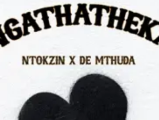 Ntokzin & De Mthuda – Ngathatheka ft. Starr Healer & Zar Keys