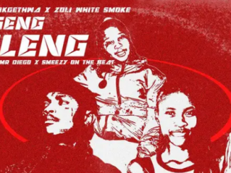 Shebeshxt & Zoli White Smoke – Motliseng Patleng ft. Mokgethwa, Naqua Pro, Mr Diego & Sm