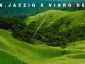 Mr JazziQ & Vigro Deep – Fede