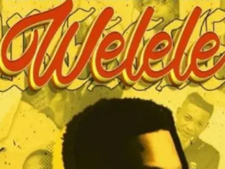 Vyno Keys, Fakewell & Cowboii – Welele ft. Cater iv & Dooushii