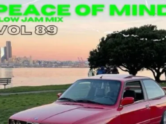 DJ Ace – Peace of Mind Vol 89 (28 July 2024 Slow Jam Mix)