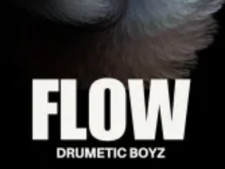 Drumetic Boyz – Flow