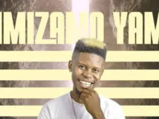 Sdala B – Imizamo Yam (Album)