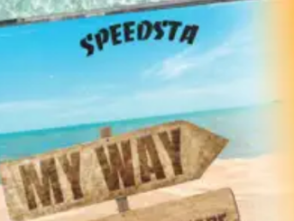 DJ Speedsta – My Way ft. Blxckie & Vsinare