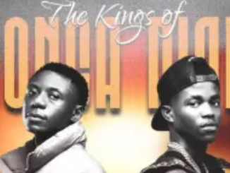 Elvirgo & TallexQ – The Kings of Tsonga Piano (Album)