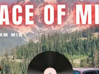 DJ Ace – Peace of Mind Vol 90 (4 August 2024 Slow Jam Mix)