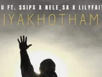 Stu – Siyakhothama ft. Ssips, Nele_SA & LilyFaith