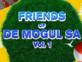 VA – Friends of De Mogul SA, Vol. 1