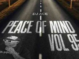 DJ Ace – Peace of Mind Vol 95 (08 September 2024 AMA45 Mix)