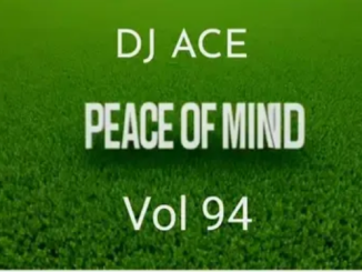 DJ Ace – Peace of Mind Vol 94 (1st September 2024 Slow Jam Mix)