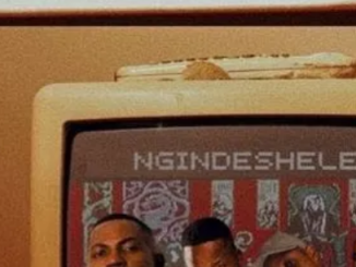 Jadenfunky, SjavasDaDeejay & Djy Fresh – Ngindeshele ft. Luu Nineleven