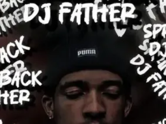 DJ Father – Spring Back