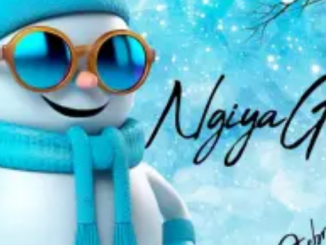 Deejay Zebra SA & Pro-Tee – Ngiya Godola