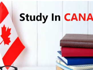 Scholarships for international and Canadian students