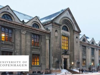 University of Copenhagen Scholarship 2025